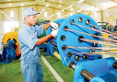 The Government proposes tax reduction for businesses, individuals (Photo: SGGP) The Government proposes tax reduction for businesses, individuals (Photo: SGGP)
